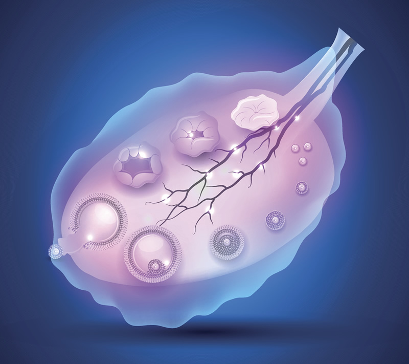 十堰市助孕医院试管助孕费用，附2026湖北试管助孕医院十强名单